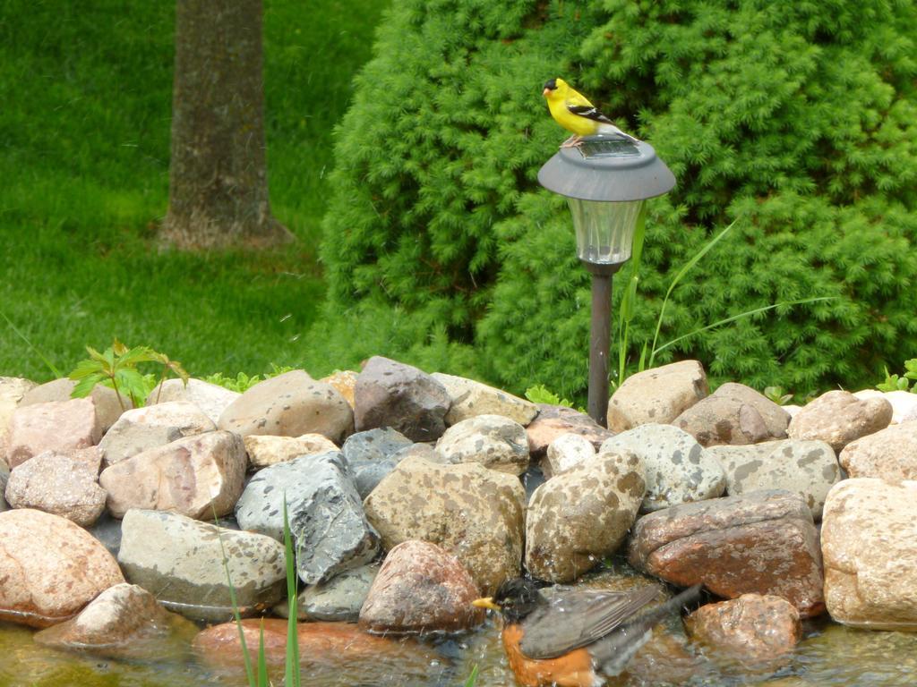 Trickling Waters Retreat Villa Marquette Luaran gambar