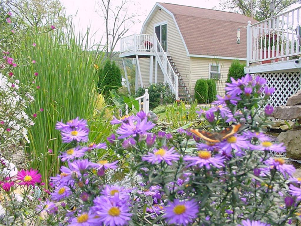 Trickling Waters Retreat Villa Marquette Luaran gambar