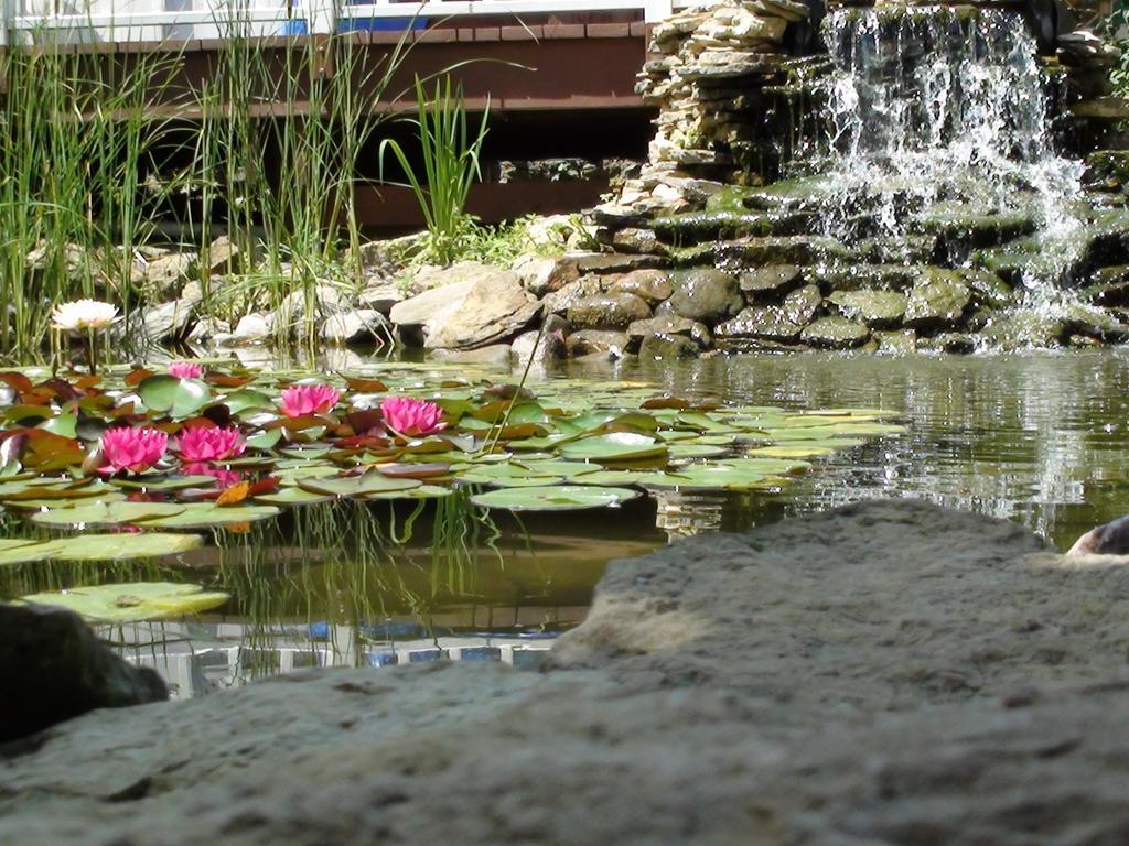 Trickling Waters Retreat Villa Marquette Luaran gambar