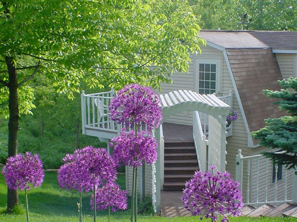 Trickling Waters Retreat Villa Marquette Luaran gambar